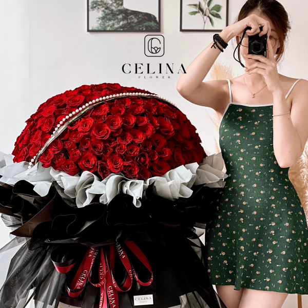 CELINA on Facebook